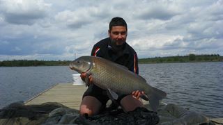 Buffalo Carp - Tancabsti